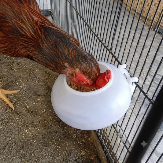 Multani Feeder