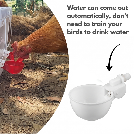 Bird Auto Water Cup – Straight Nozzle