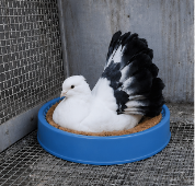 Bird Cage Coconut Mat