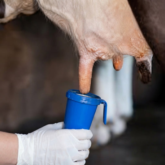 Cattle Teat Dip Cup