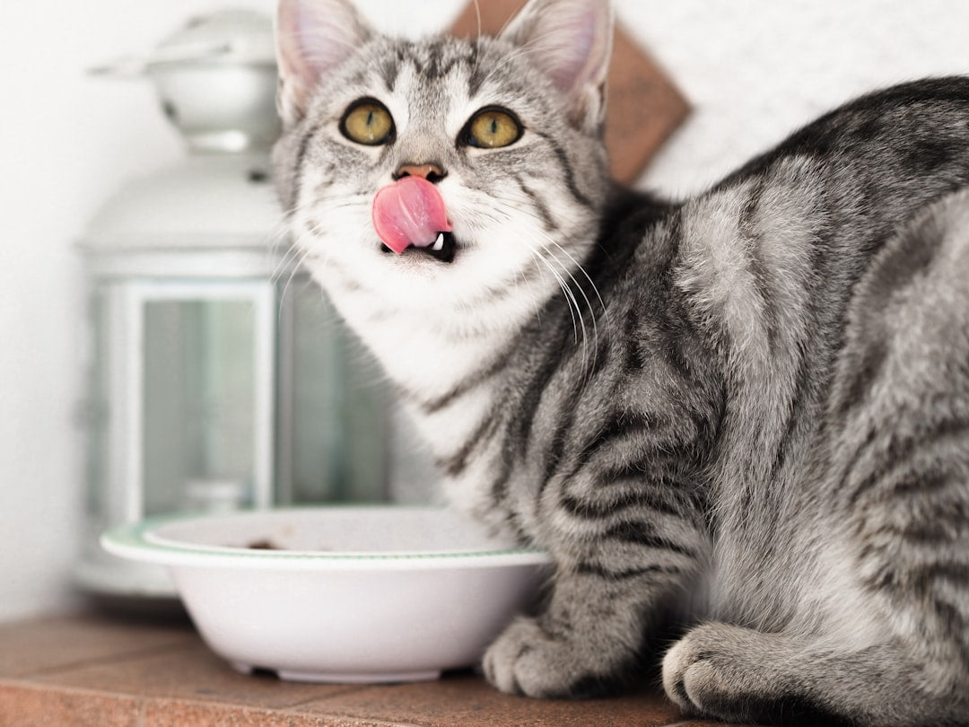 Reflex Plus Adult Cat Food with Chicken