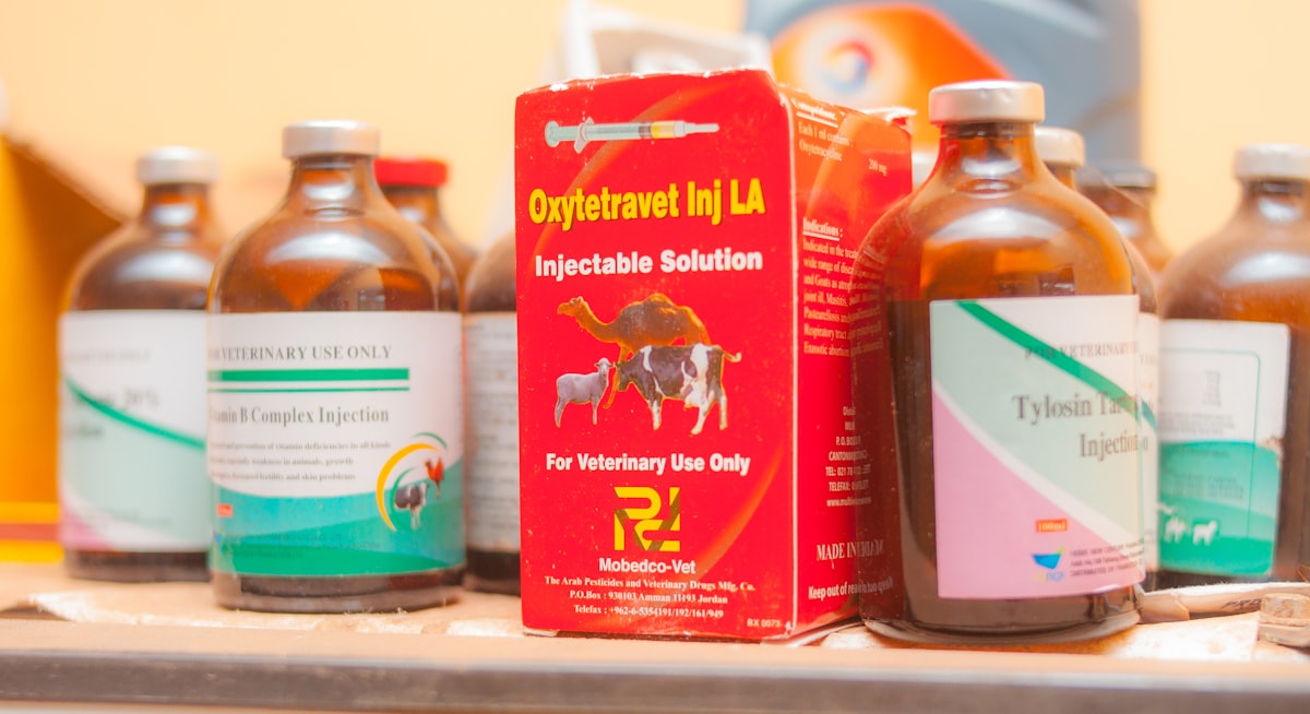 Avi Obese Cure - Design to Effective Fat Reduction