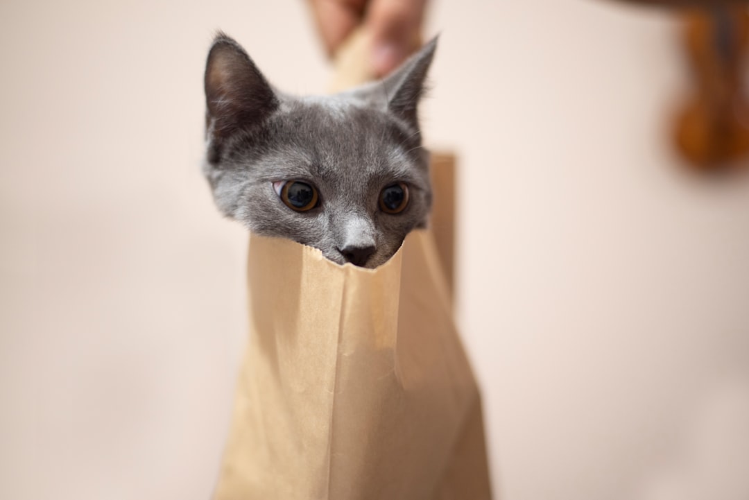 Mr Pet Adult Cat Food