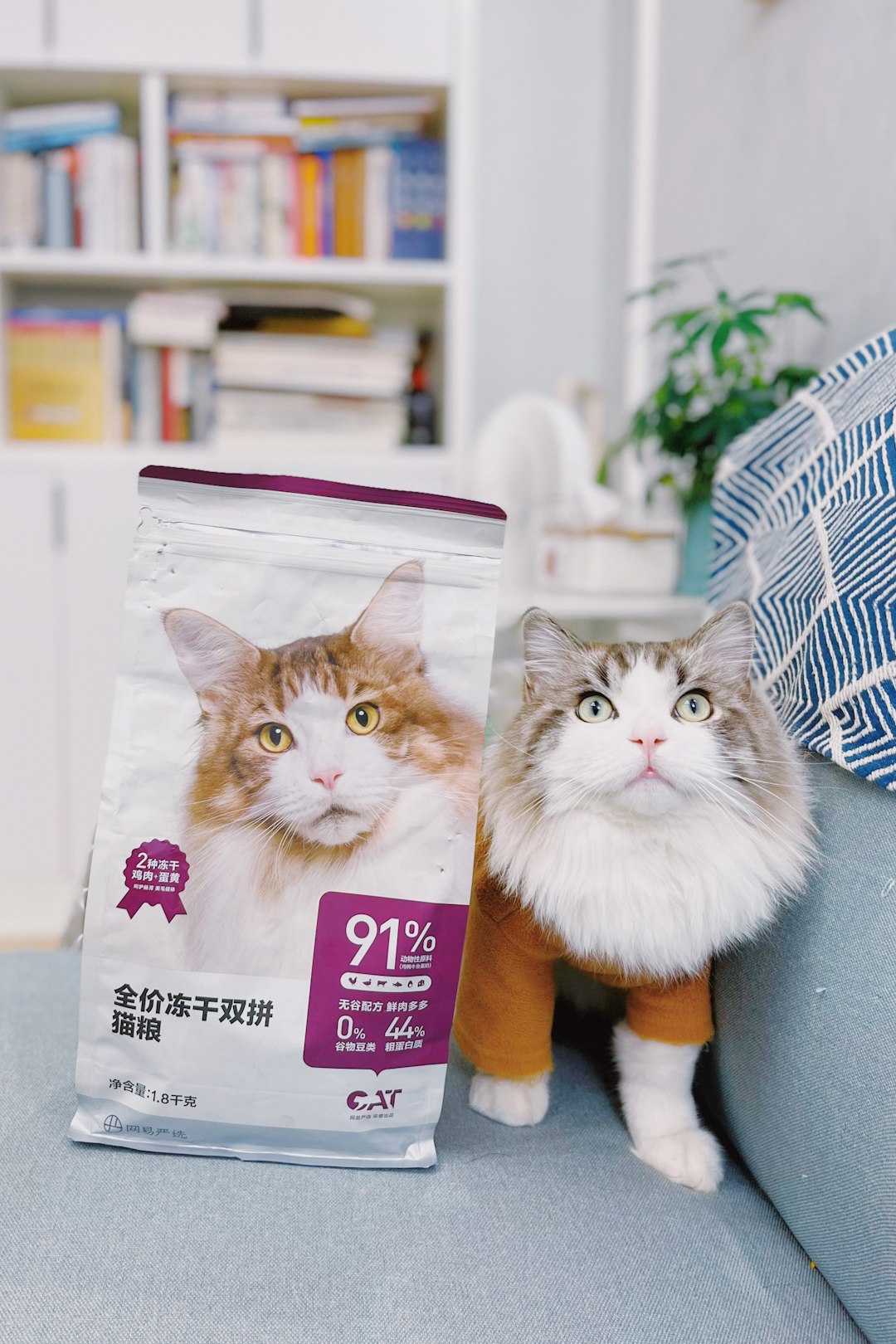 Nourvet Natural Cat Food - Chicken & Brown Rice