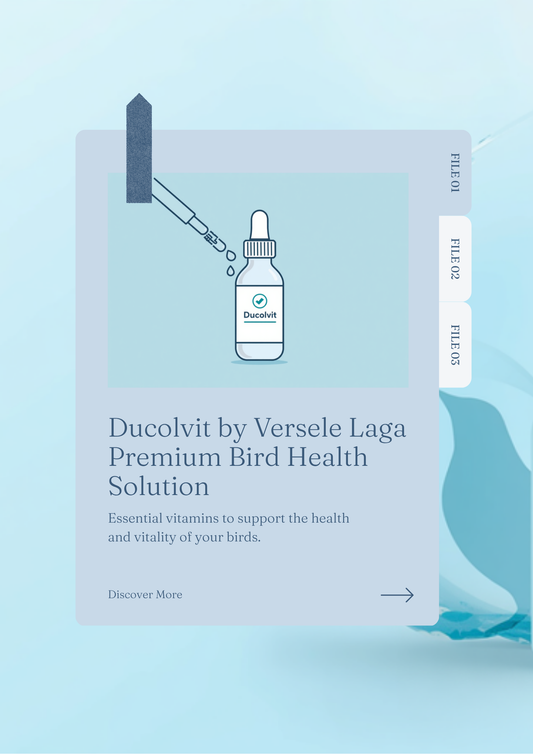 Ducolvit