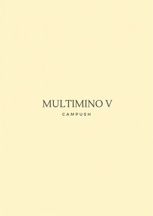 Multimino V