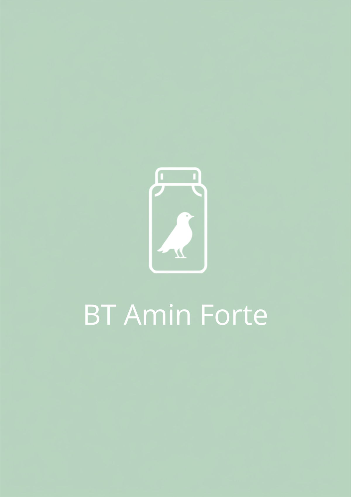 BT Amin Forte