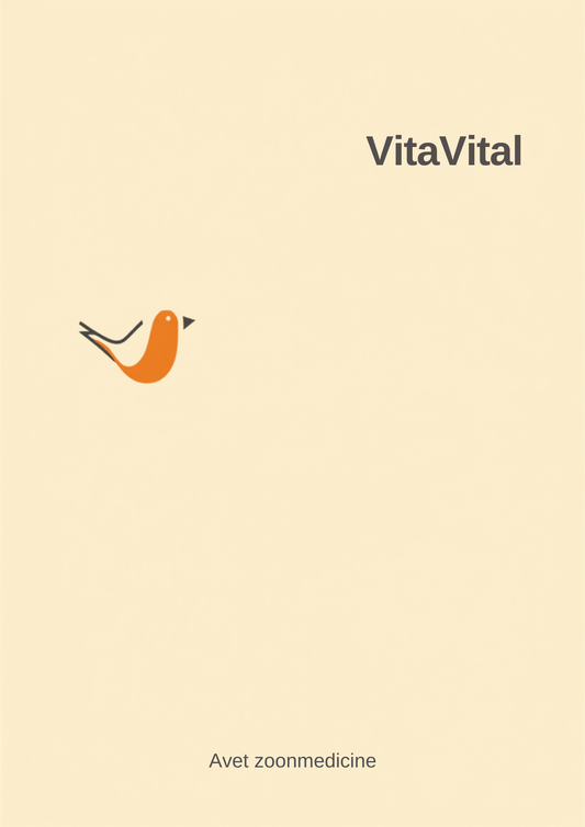 VitaVital