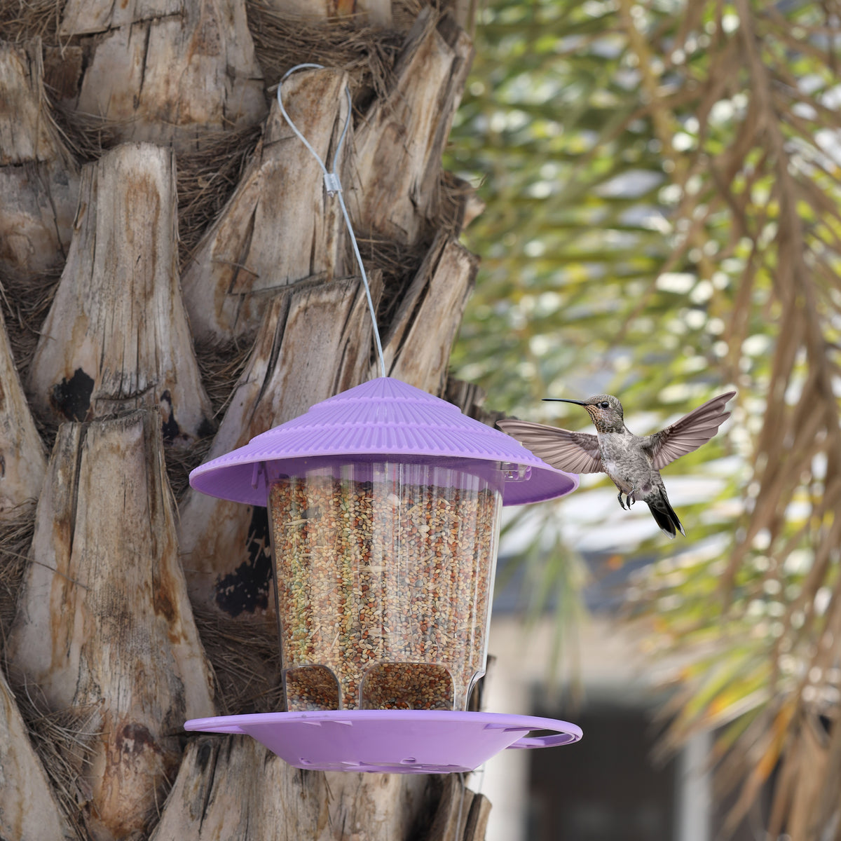 Hanging Bird Feeder