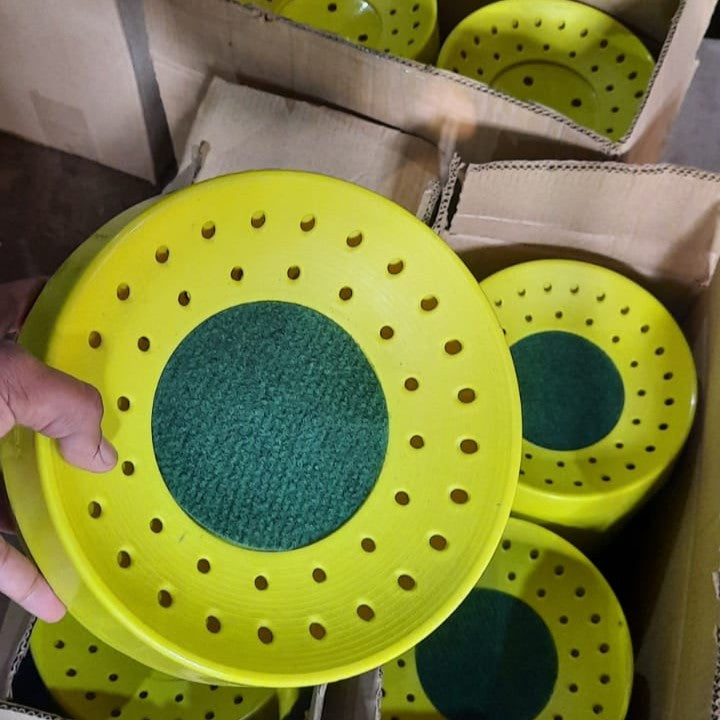 Nest Bowl-Economical