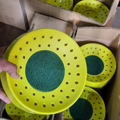 Nest Bowl-Economical