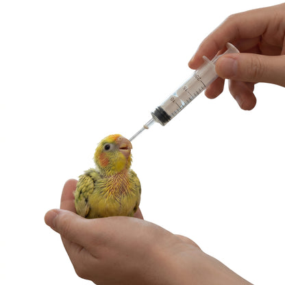 Reusable Feeding Syringe - TTC