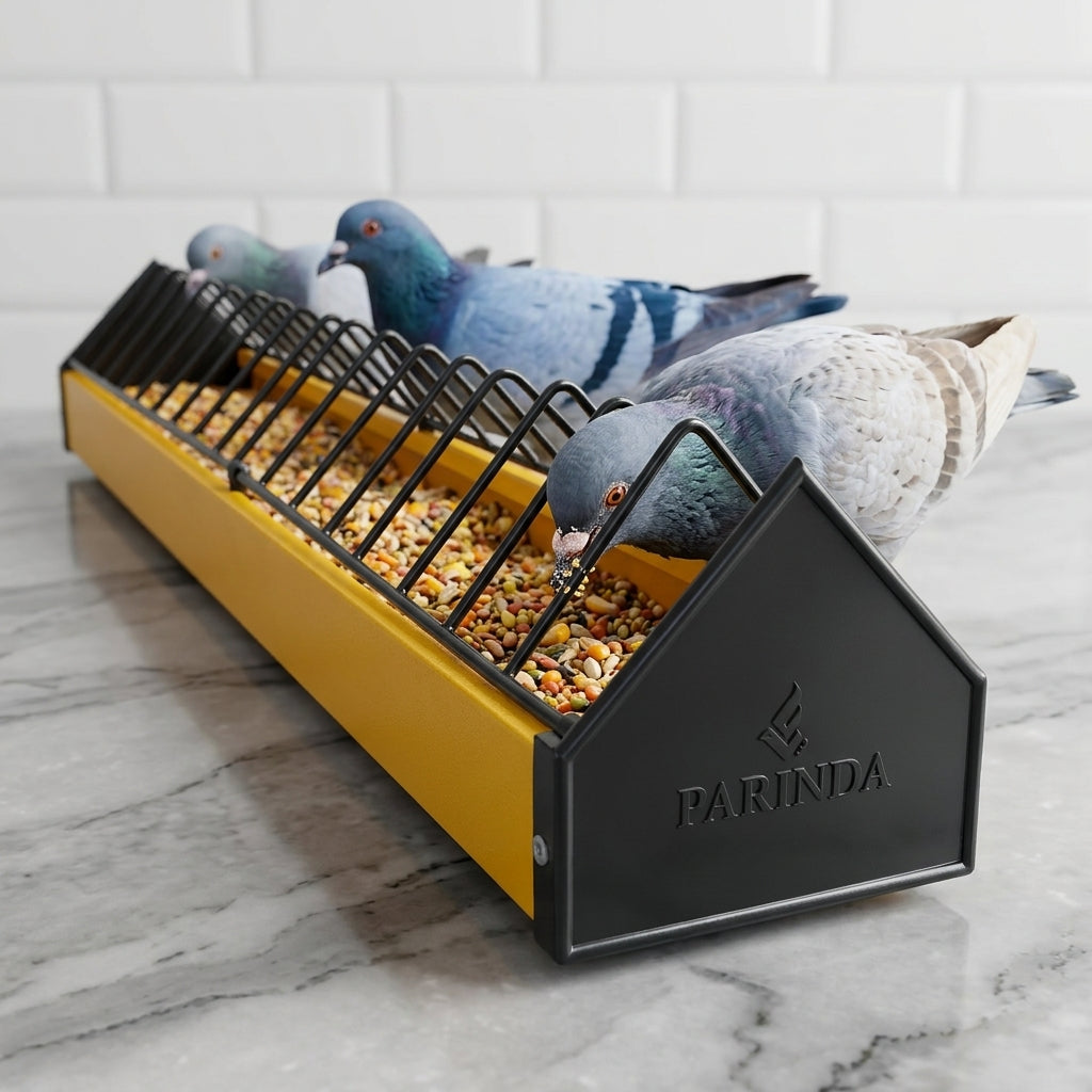 Pigeon & Poultry Feeding Tray – Metal with Plastic Sides