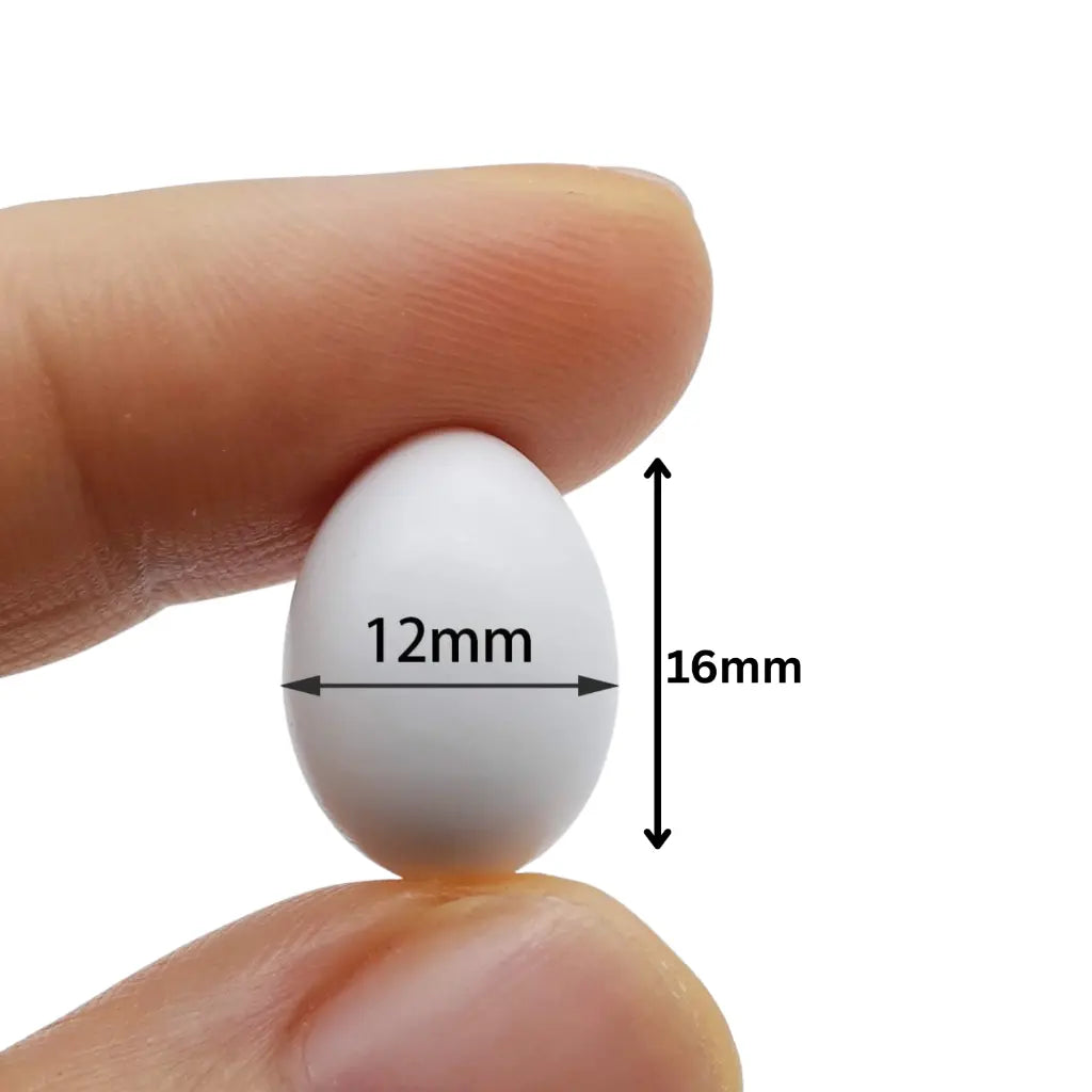 Dummy Eggs-Finches