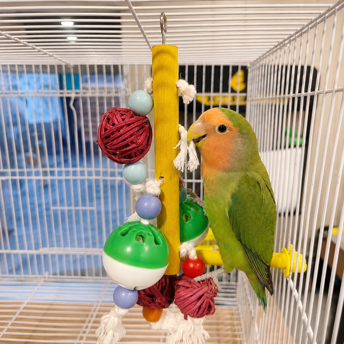 Birds Rattle Toy