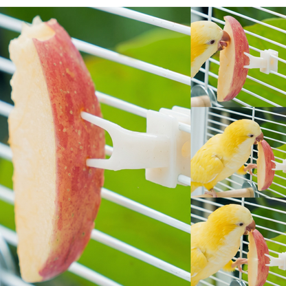 Bird Fruit Feeding Fork
