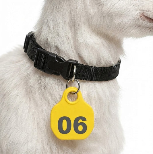 Customized Neck Tag with Collar
