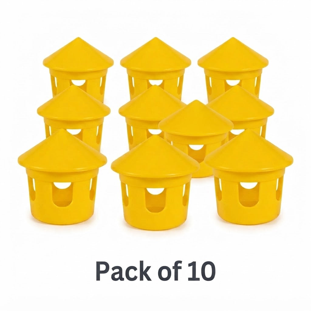 Pigeon Grit Box