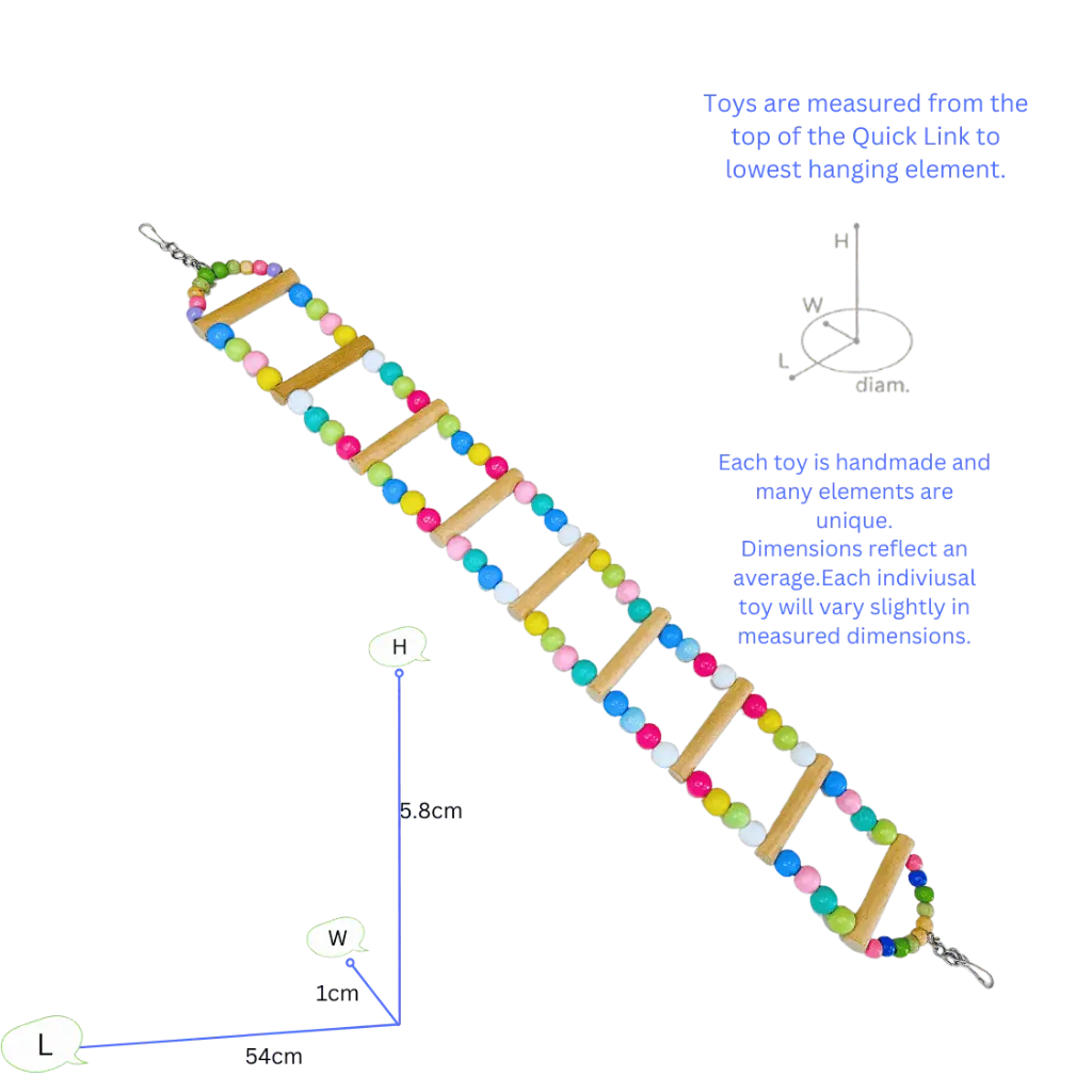Bird Medium Ladder Toy