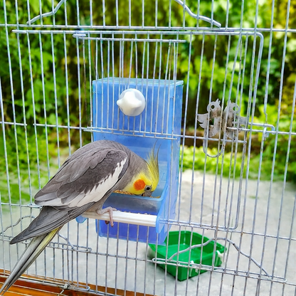 Bird Gravity feeder