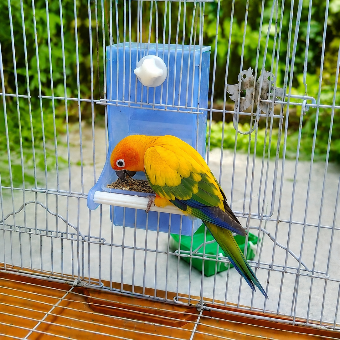 Bird Gravity feeder