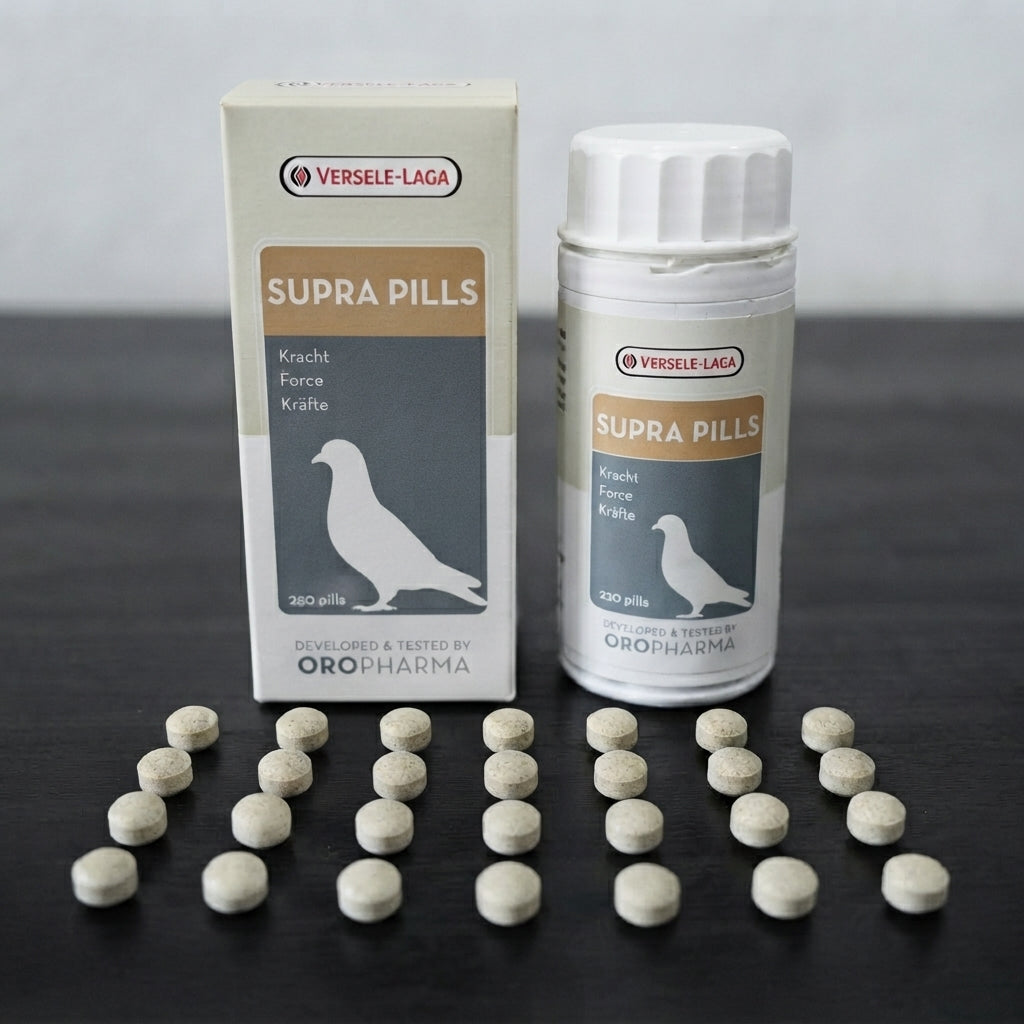 Supra Pills – Natural Performance Booster for Racing Pigeons