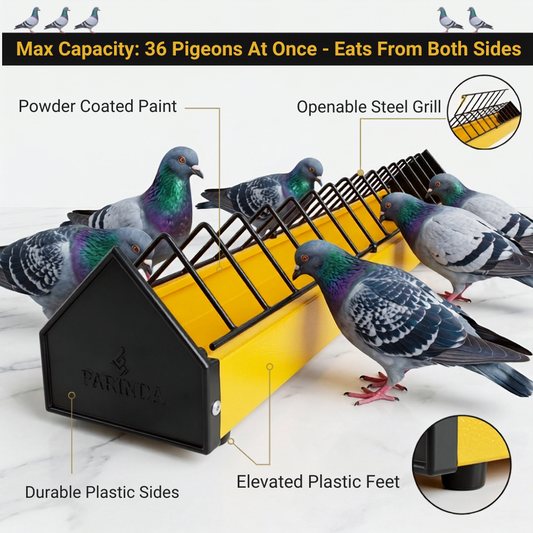 Pigeon & Poultry Feeding Tray – Metal with Plastic Sides