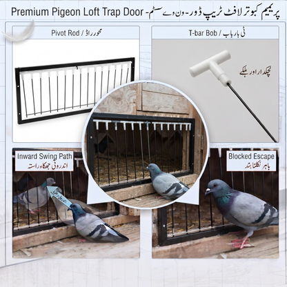Pigeon Loft Trap Door