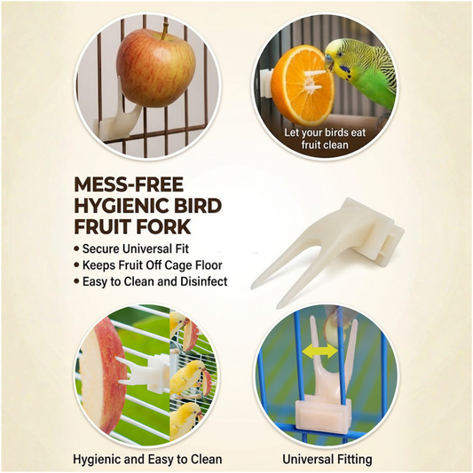Bird Fruit Feeding Fork