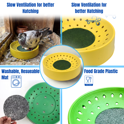 Nest Bowl-Economical