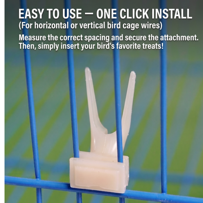 Bird Fruit Feeding Fork