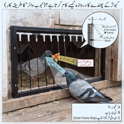 Pigeon Loft Trap Door