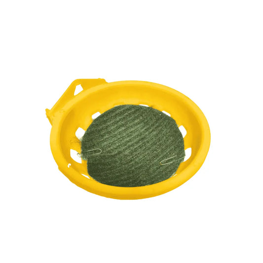Bird Nest House (Maskan)