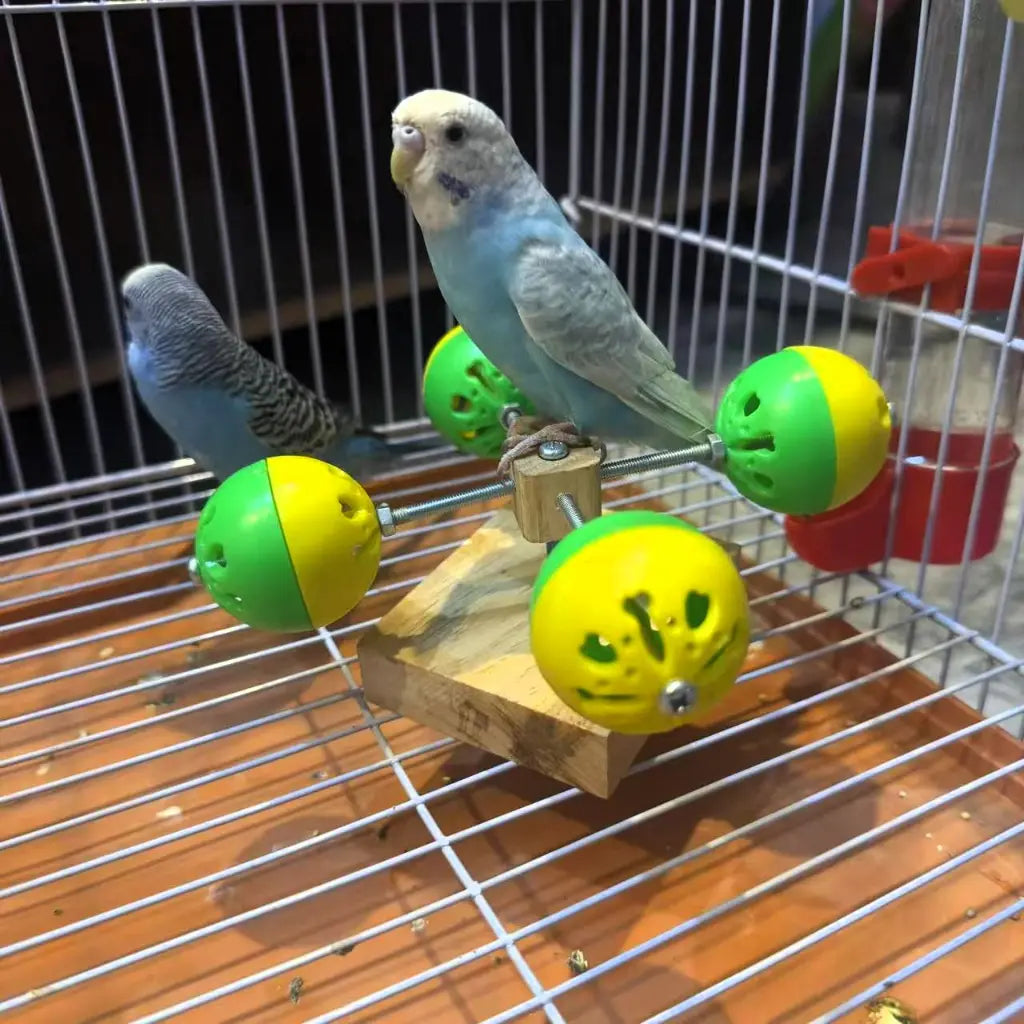 Bird Rotating Toy