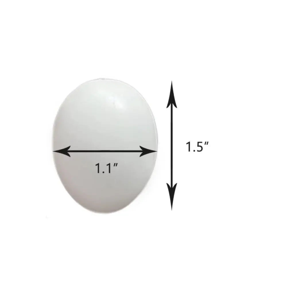 Dummy Eggs-Pigeon
