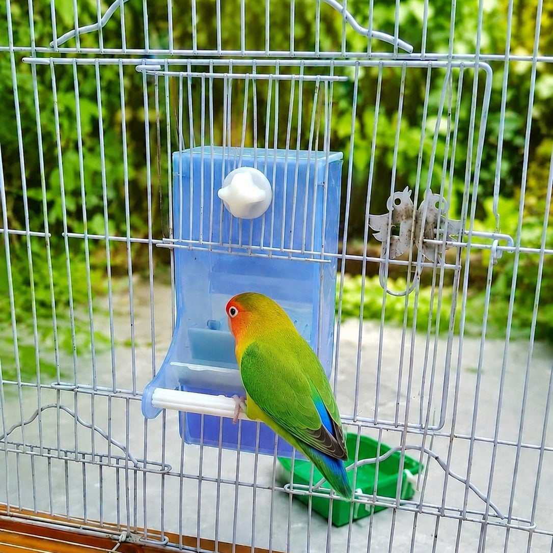 Bird Gravity feeder