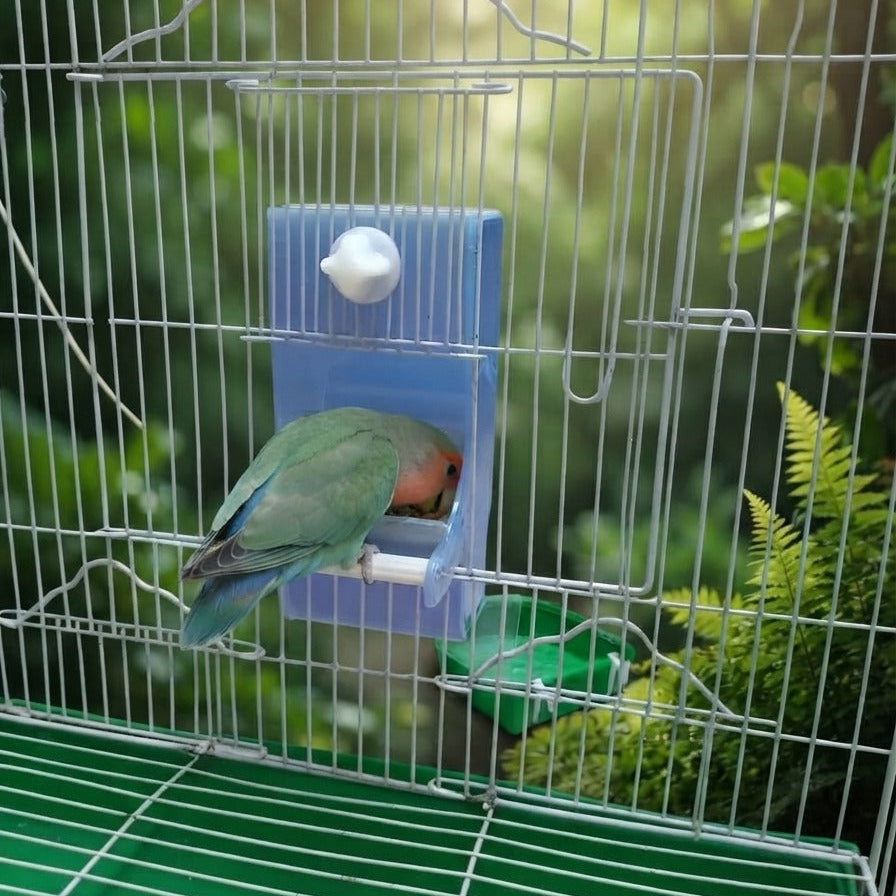 Bird Gravity feeder