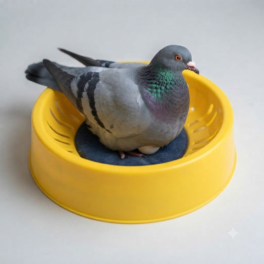 Large Economical Bowl