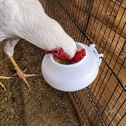 Multani Feeder