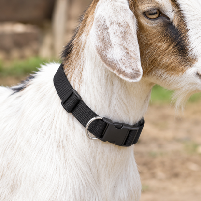 GOAT ADJUSTABLE NECK COLLAR