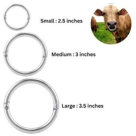 STEEL BULL NOSE RING