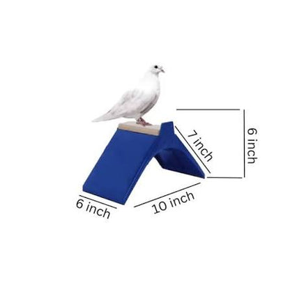 Pigeon Perch