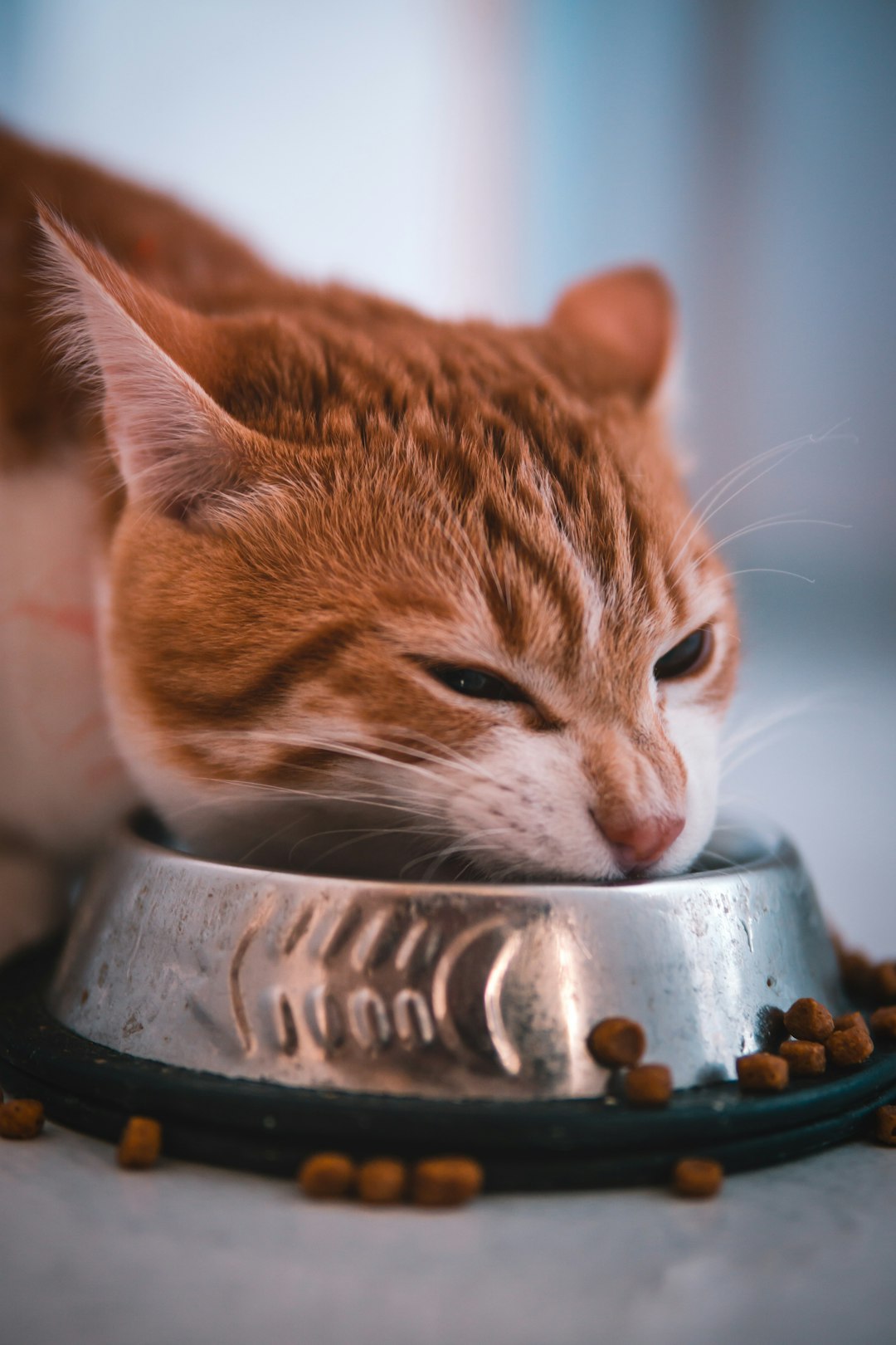 Me-O Cat Food (Chicken & Vegetable)
