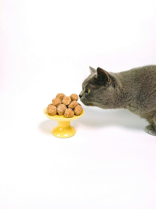 Reflex Plus Sterilised Adult Cat Food with Salmon