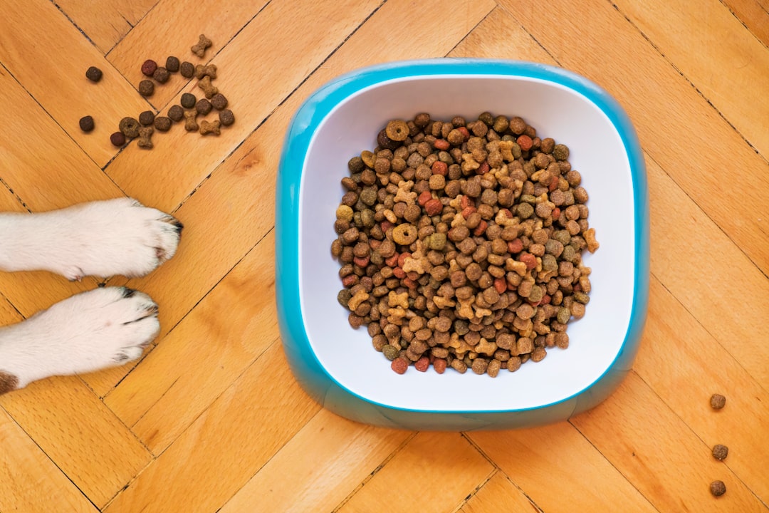 Reflex Adult Dog Food with Lamb & Rice & Vegetables