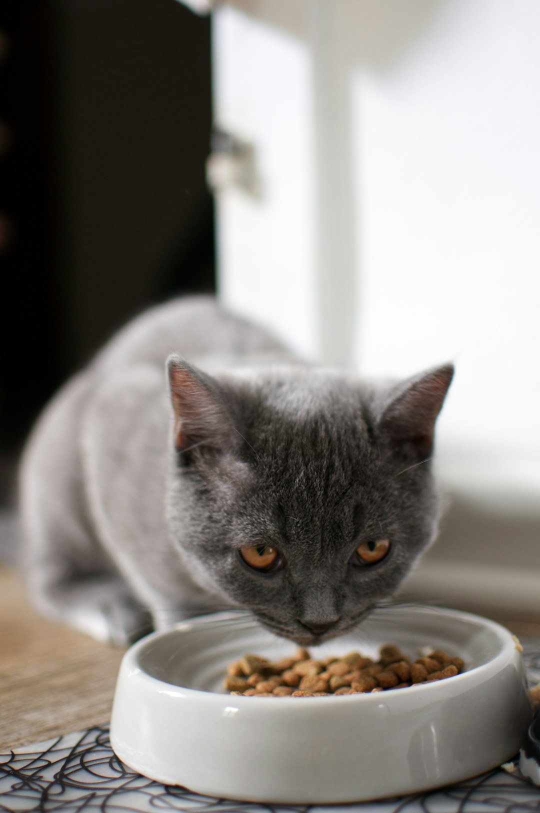 Reflex Adult Cat Food with Chicken