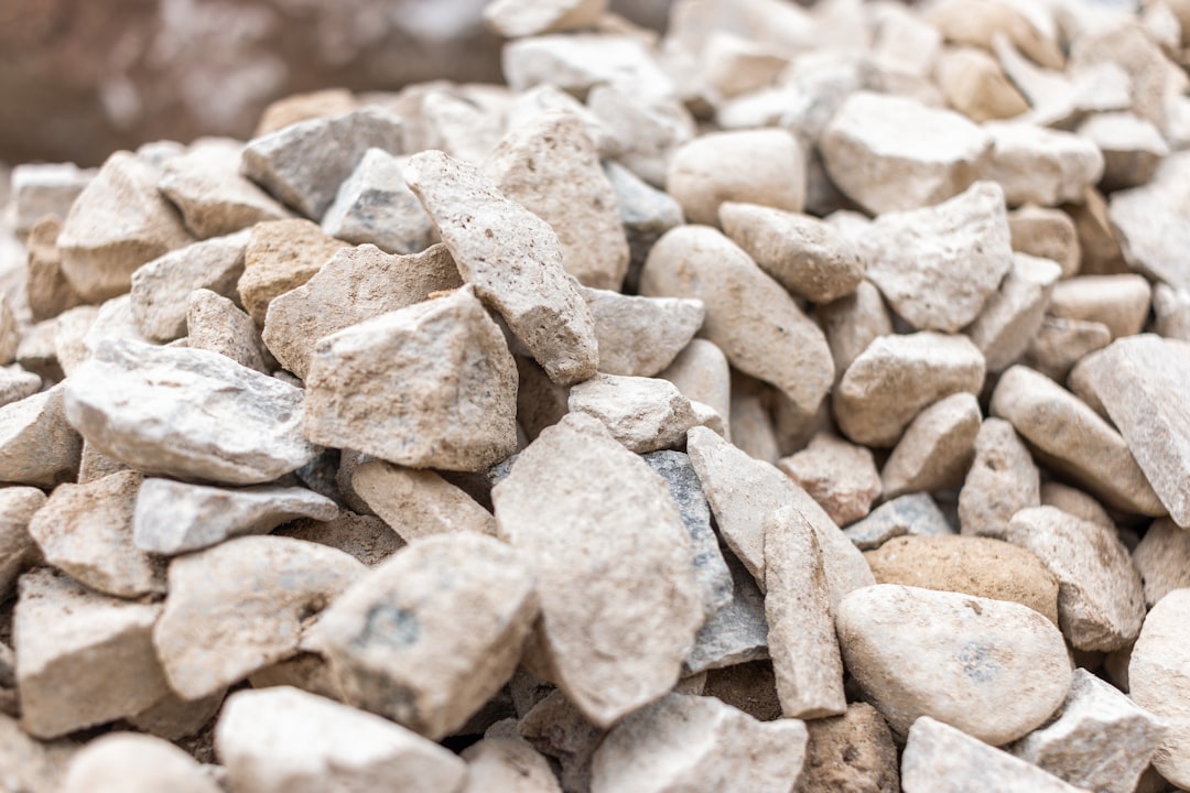 Calci Life