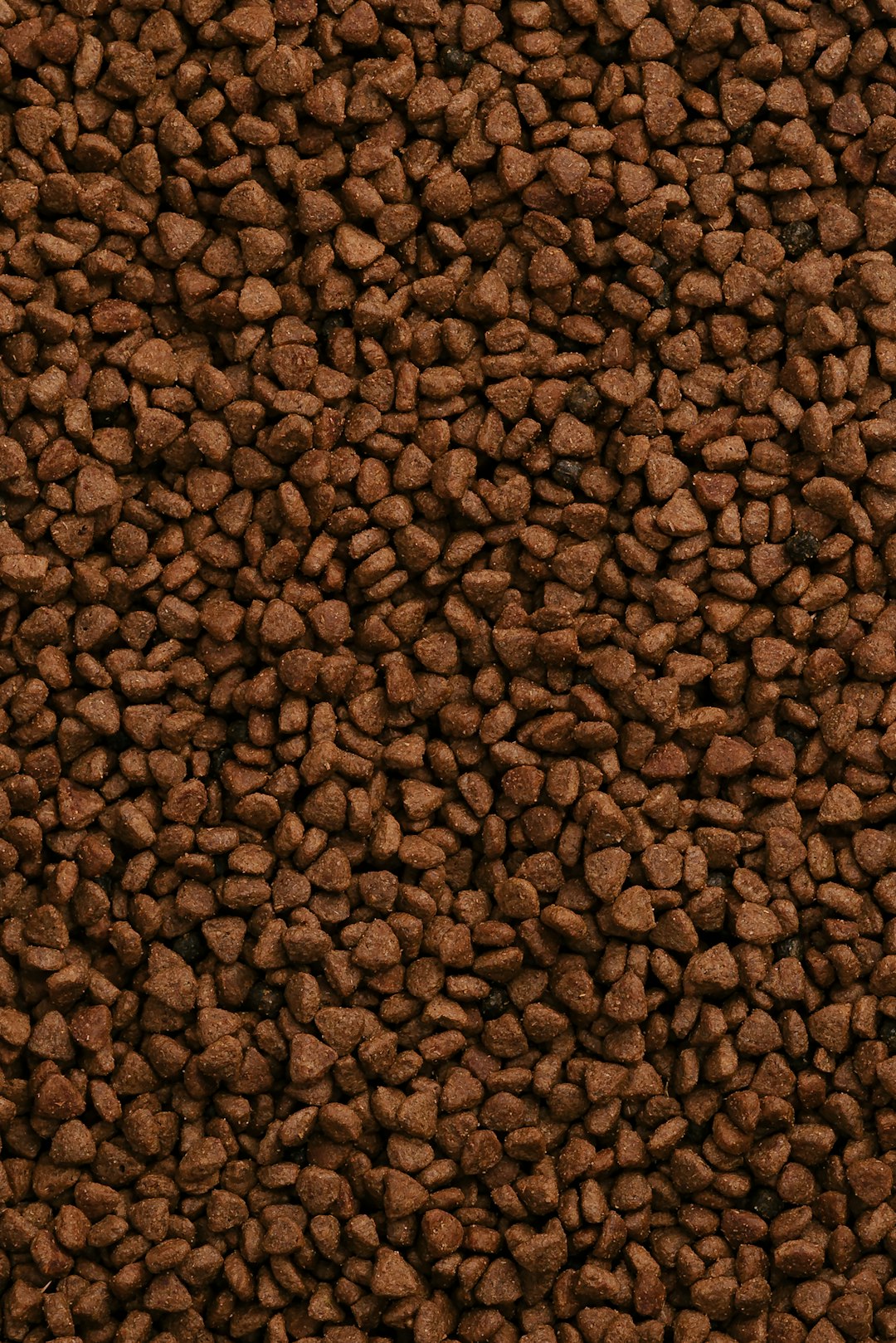 Taste of The Wild Adult Cat Food - Rocky Mountain